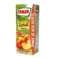 Meyve Suyu Karton Kutu