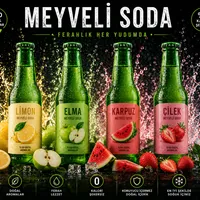 Meyveli sodalar - Sakız Hanım